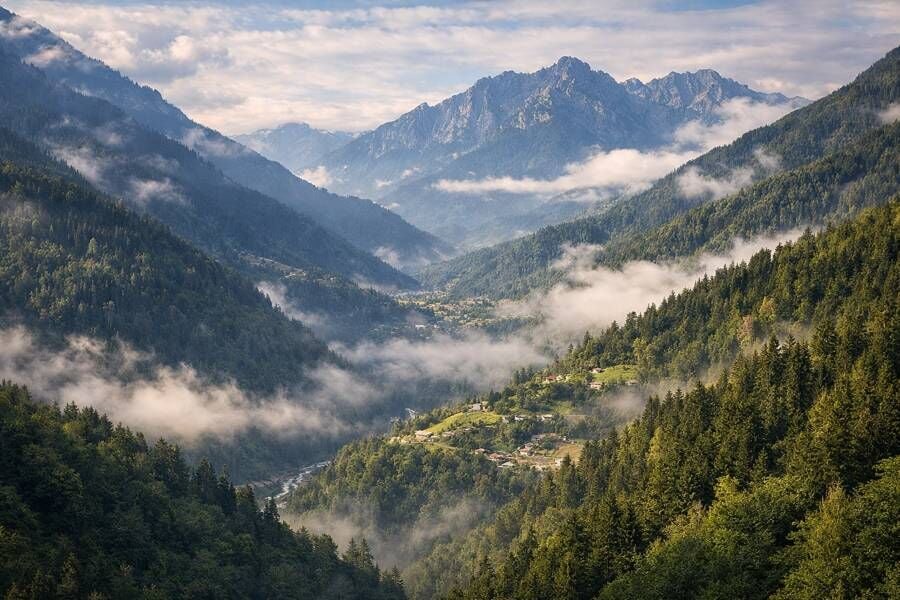Artvin Şavşat Balı Neden Farklı?