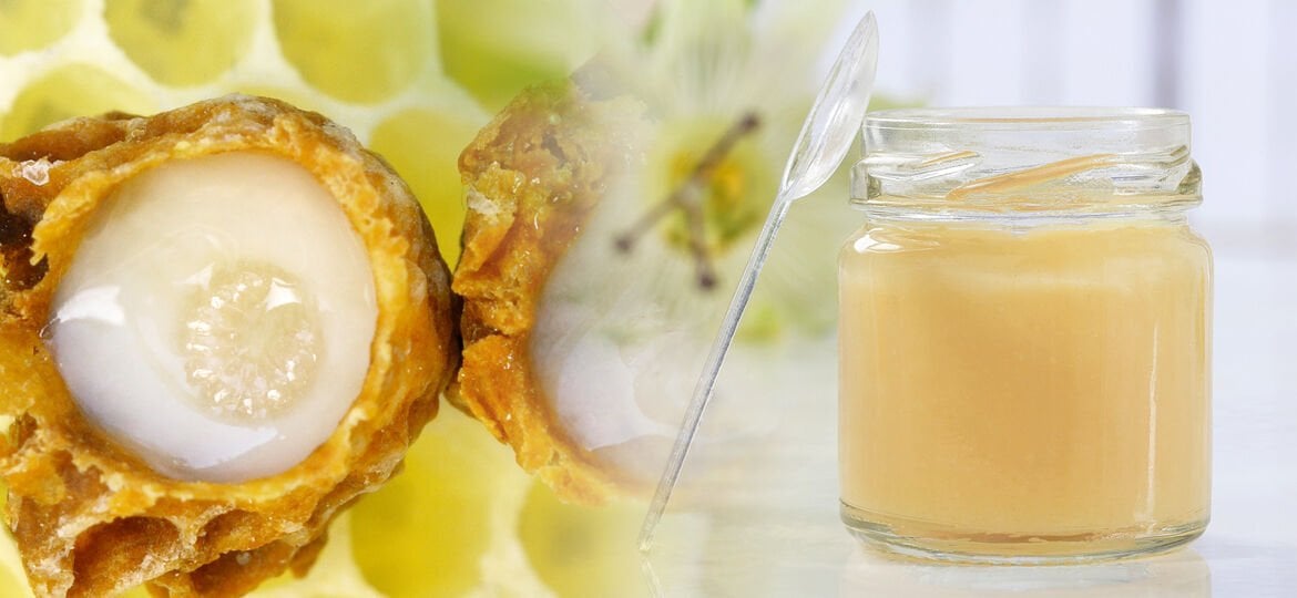 Arı Sütü Nedir, Nasıl Tüketilir?